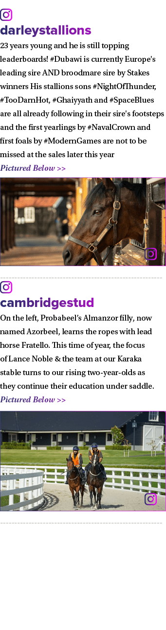 ￼ darleystallions 23 years young and he is still topping leaderboards! #Dubawi is currently Europe's leading sire AND...