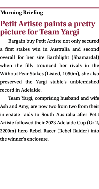  ￼ Petit Artiste paints a pretty picture for Team Yargi Bargain buy Petit Artiste not only secured a first stakes win...