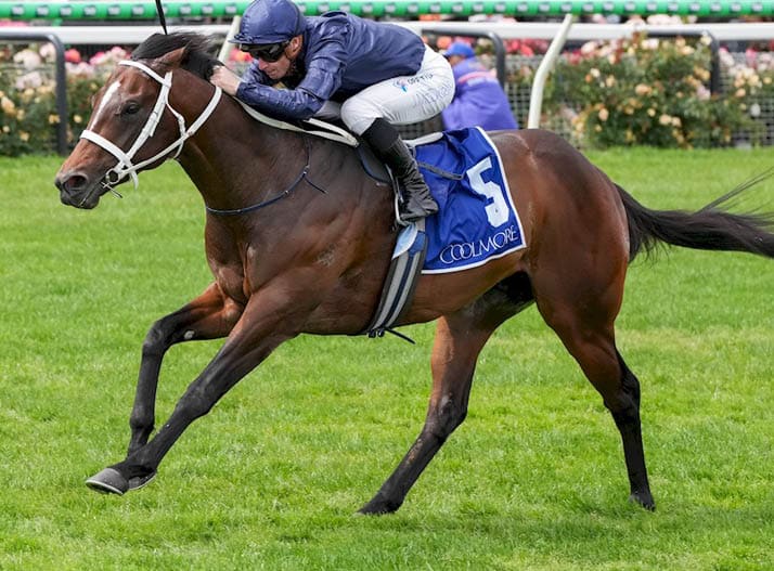 Switzerland ridden by James McDonald wins the Coolmore Stud Stakes at Flemington Racecourse on November 02, 2024 in Flemington, Australia. (Photo by George Sal/Racing Photos)