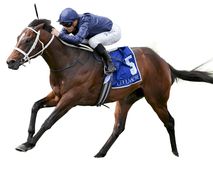 Switzerland ridden by James McDonald wins the Coolmore Stud Stakes at Flemington Racecourse on November 02, 2024 in Flemington, Australia. (Photo by George Sal/Racing Photos)