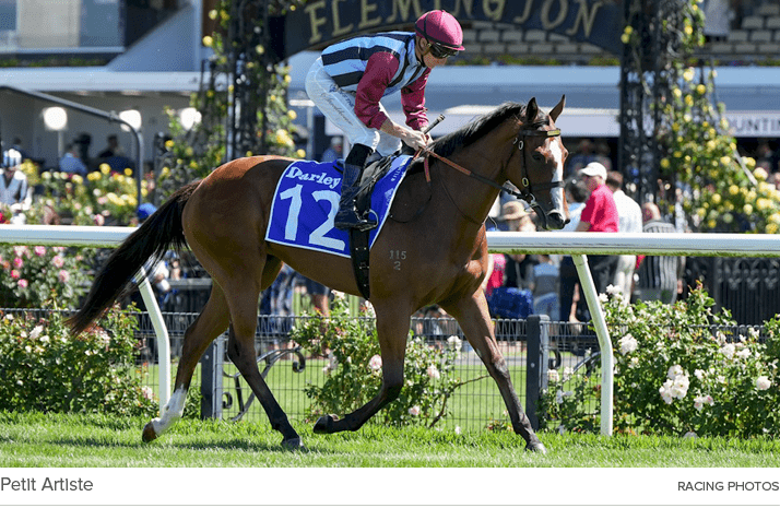 Petit Artiste racing photo