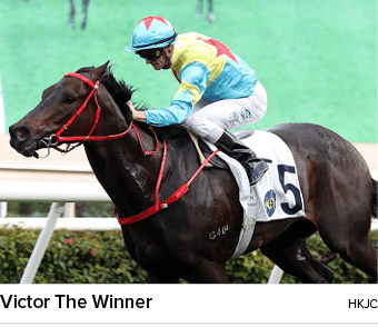 Victor The Winner hkj
