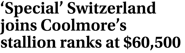 ‘Special’ Switzerland joins Coolmore’s stallion ranks at $60,500