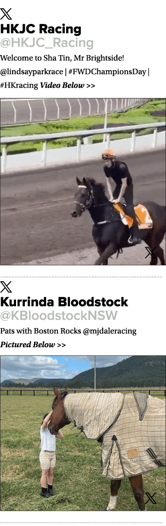￼ HKJC Racing @HKJC_Racing Welcome to Sha Tin, Mr Brightside! @lindsayparkrace | #FWDChampionsDay | #HKracing Video B...