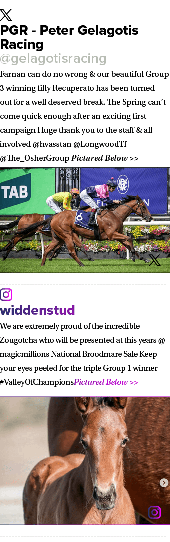 ￼ PGR Peter Gelagotis Racing @gelagotisracing Farnan can do no wrong & our beautiful Group 3 winning filly Recuperato...