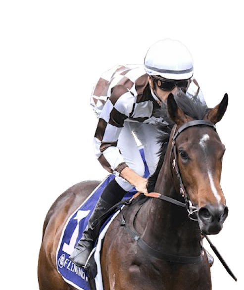 Magic Time ridden by Jordan Childs wins the The Amanda Elliott at Flemington Racecourse on November 05, 2022 in Flemington, Australia. (Photo by Morgan Hancock/Racing Photos)