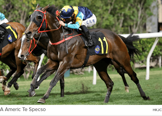 A Americ Te Specso hkj