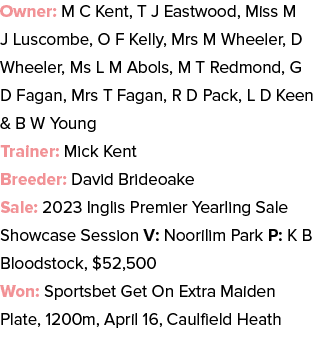 Owner: M C Kent, T J Eastwood, Miss M J Luscombe, O F Kelly, Mrs M Wheeler, D Wheeler, Ms L M Abols, M T Redmond, G D...