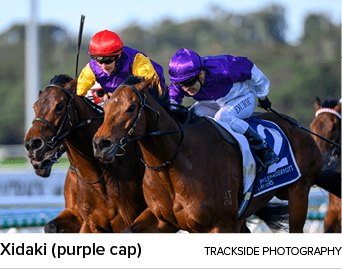 Xidaki (purple cap) Trackside Photograph