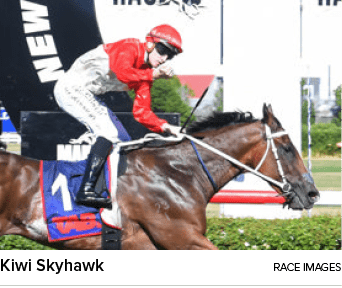 Kiwi Skyhawk race image