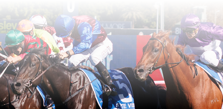 Vinrock (mark Zahra) ytrained by Matt Laurie wins mthe Sires Produce (Group 1) at Randwick on April 5, 2025 - photo by Martin King/Sportpix copyright