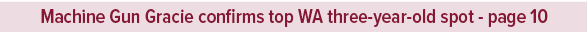 Machine Gun Gracie confirms top WA three year old spot page 1