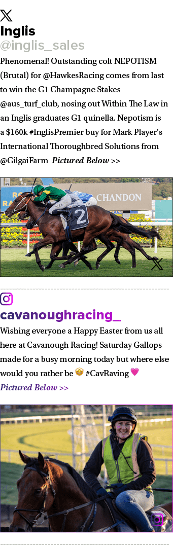 ￼ Inglis @inglis_sales Phenomenal! Outstanding colt NEPOTISM (Brutal) for @HawkesRacing comes from last to win the G1...