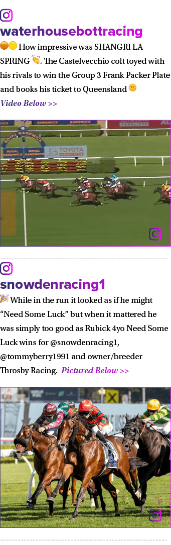 ￼ waterhousebottracing 🟠🟡 How impressive was SHANGRI LA SPRING 👏. The Castelvecchio colt toyed with his rivals to ...
