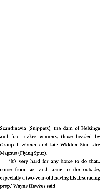 Scandinavia (Snippets), the dam of Helsinge and four stakes winners, those headed by Group 1 winner and late Widden S...