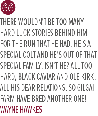 There wouldn't be too many hard luck stories behind him for the run that he had. He's a special colt and he's out of ...