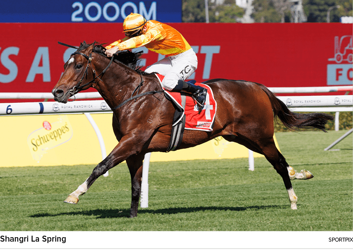 Shangri La Spring sportpi