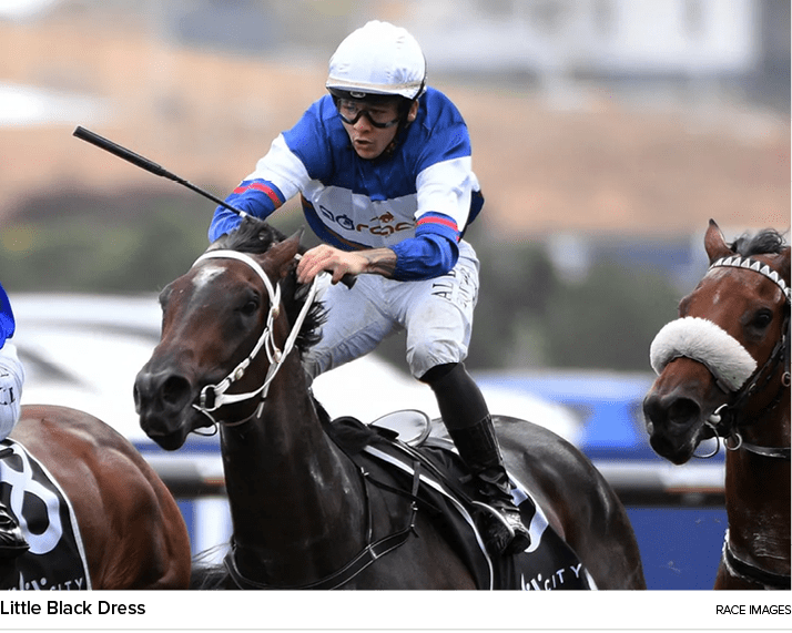 Little Black Dress Race Image