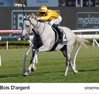 Bois D'argent sportpi