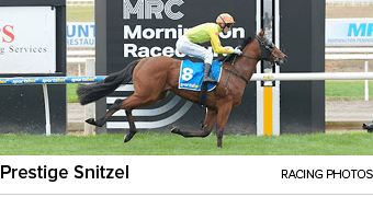 Prestige Snitzel racing photo