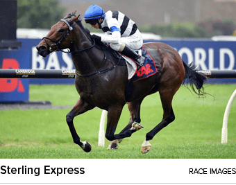 Sterling Express Race Image