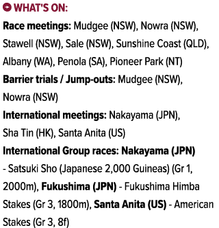 ￼ What's on: Race meetings: Mudgee (NSW), Nowra (NSW), Stawell (NSW), Sale (NSW), Sunshine Coast (QLD), Albany (WA), ...