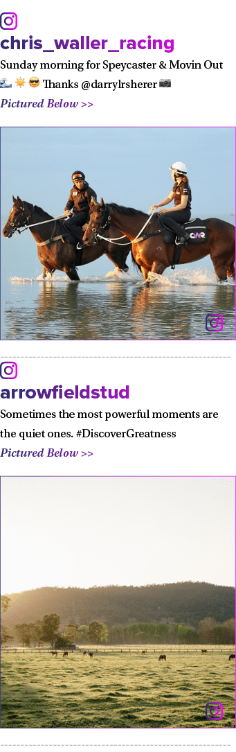 ￼ chris_waller_racing Sunday morning for Speycaster & Movin Out 🌊 ☀️ 😎 Thanks @darrylrsherer 📷 Pictured Below   ￼...