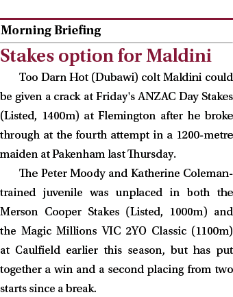  ￼ Stakes option for Maldini Too Darn Hot (Dubawi) colt Maldini could be given a crack at Friday's ANZAC Day Stakes (...