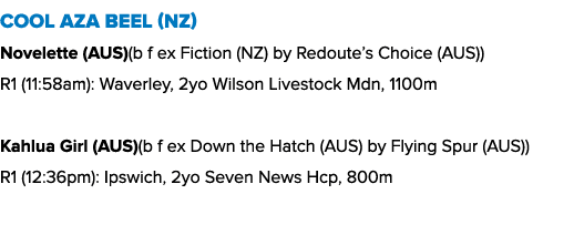 Cool Aza Beel (NZ) Novelette (AUS)(b f ex Fiction (NZ) by Redoute’s Choice (AUS)) R1 (11:58am): Waverley, 2yo Wilson ...