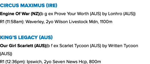 Circus Maximus (ire) Engine Of War (NZ)(b g ex Prove Your Worth (AUS) by Lonhro (AUS)) R1 (11:58am): Waverley, 2yo Wi...