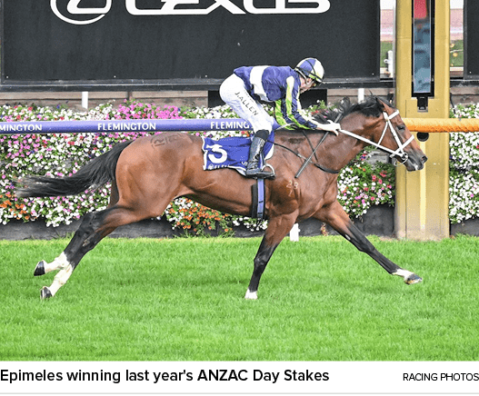 Epimeles winning last year's ANZAC Day Stakes racing photo