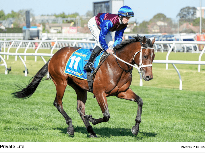 Private Life racing photo