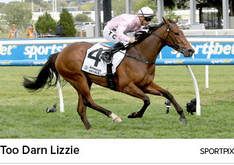 Too Darn Lizzie sportpi