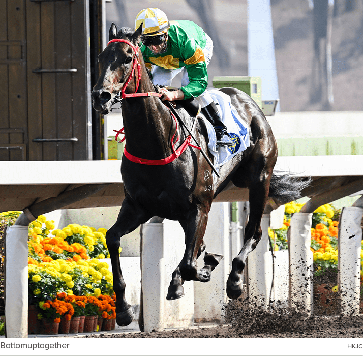 Bottomuptogether hkj