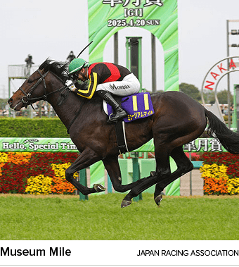 Museum Mile japan racing associatio