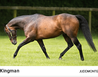 Kingman juddmont