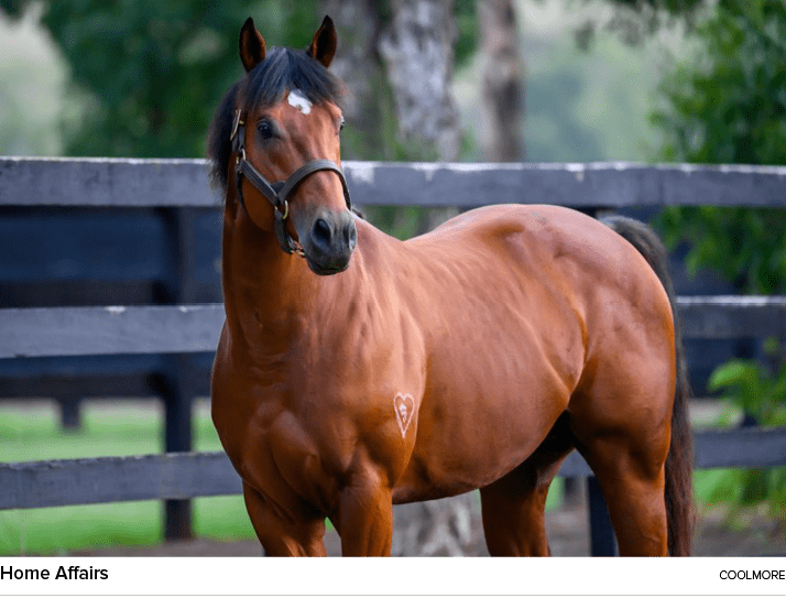 Home Affairs coolmor