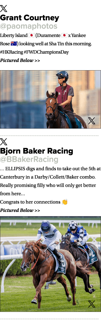 ￼ Grant Courtney @paomaphotos Liberty Island 🇯🇵 (Duramente 🇯🇵 x Yankee Rose 🇦🇺) looking well at Sha Tin this mo...