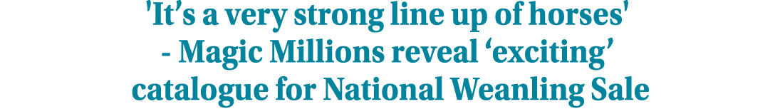 'It’s a very strong line up of horses' Magic Millions reveal ‘exciting’ catalogue for National Weanling Sale