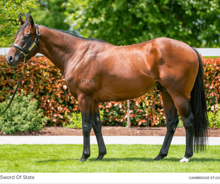 Sword Of State Cambridge Stu
