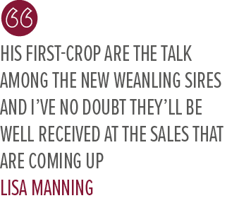 His first crop are the talk among the new weanling sires and I’ve no doubt they’ll be well received at the sales that...