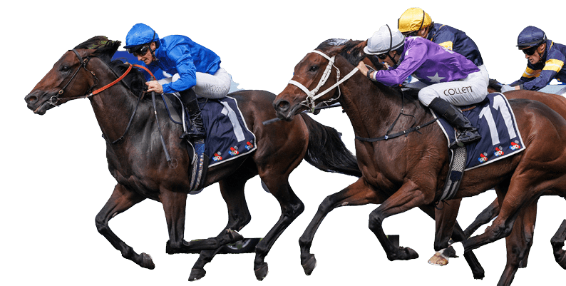 Broadsiding (James McDonald, inside, all blue) ttrained by James Cummings wins the Rosehill Guineas (Group 1) at Rosehill on March 22, 2025 - photo by Martin King/Sportpix copyright