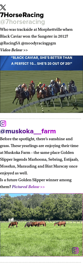￼ 7HorseRacing @7horseracing Who was trackside at Morphettville when Black Caviar won the Sangster in 2012? @RacingSA...