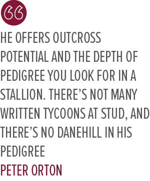 He offers outcross potential and the depth of pedigree you look for in a stallion. There’s not many Written Tycoons a...