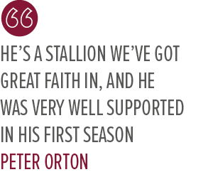 He’s a stallion we’ve got great faith in, and he was very well supported in his first season Peter Orto