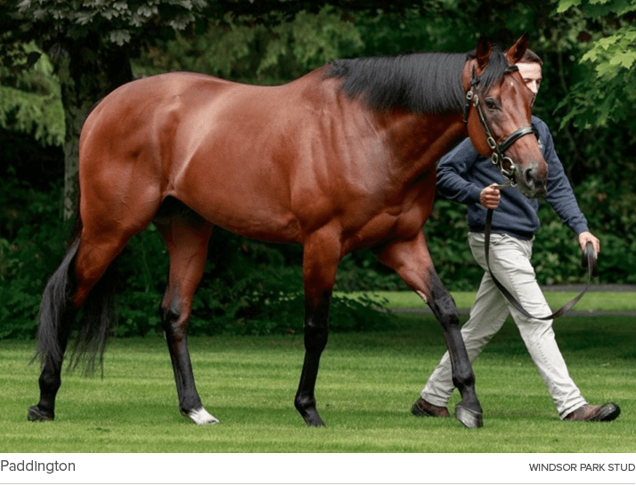 Paddington windsor park stu