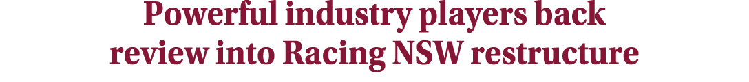 Powerful industry players back review into Racing NSW restructure