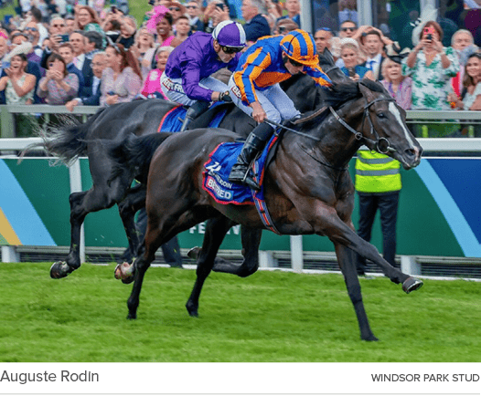 Auguste Rodin windsor park stu