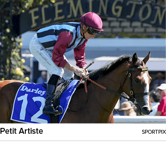 Petit Artiste sportpi