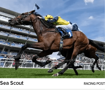 Sea Scout racing pos